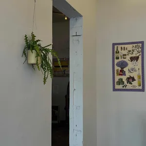 파즈 리뷰 사진
