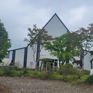 뮌스터담 리뷰 사진