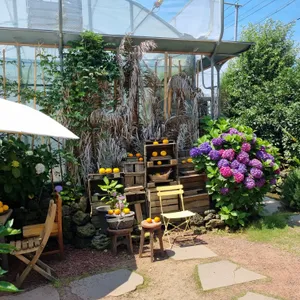 카페 귤꽃다락 리뷰 사진