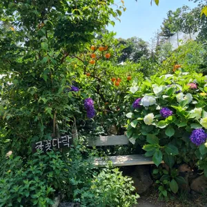 카페 귤꽃다락 리뷰 사진