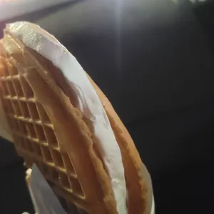 와플대학 사진