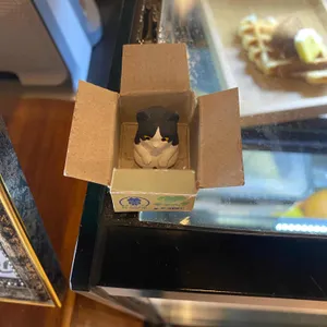 동네카페 사진