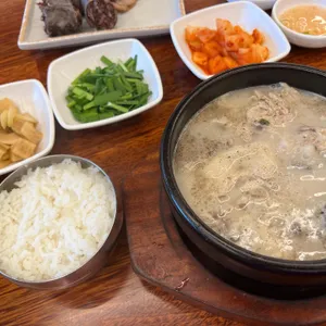 담미온 사진