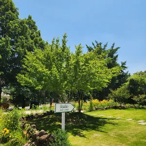 아우터 베이크하우스 리뷰 사진