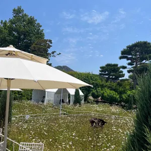 마호가니 리뷰 사진