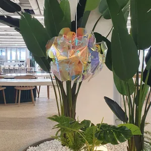 놀스365 대표 사진