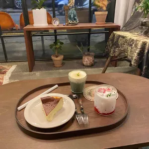 피노 사진