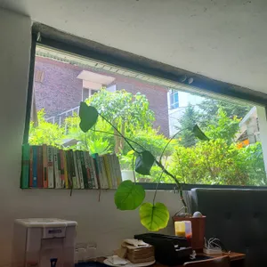 블랙랩 리뷰 사진