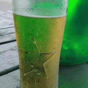 뱃노리 사진