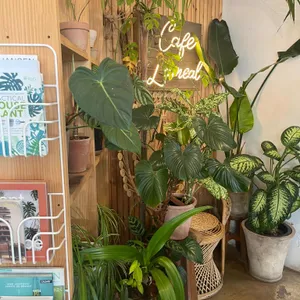 카페라밀 리뷰 사진