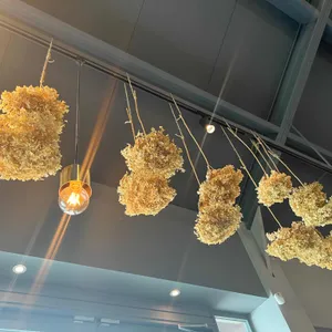 마호가니 리뷰 사진