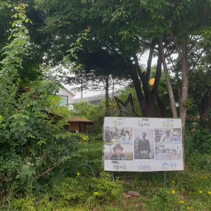용궁칼국수 리뷰 사진