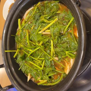 등촌샤브칼국수 사진