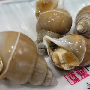 대영유통 리뷰 사진
