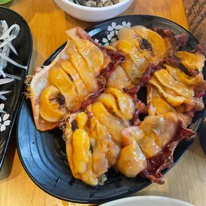 싱싱오징어 사진