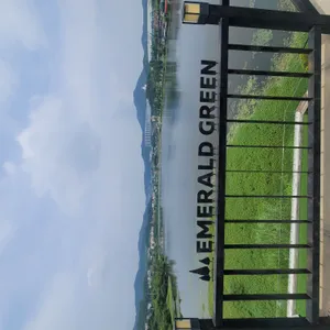 에메랄드그린 리뷰 사진