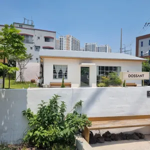 도산트 리뷰 사진