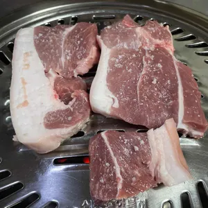 춤추는꽃돼지 사진
