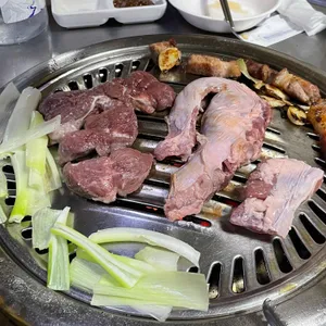 춤추는꽃돼지 사진