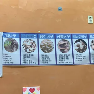 약초와 버섯골 리뷰 사진