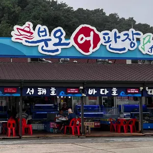 서해호 리뷰 사진