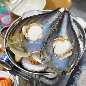 서해호 사진