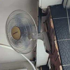 만강홍 리뷰 사진