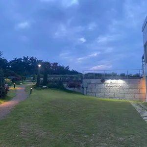 엣지230 리뷰 사진
