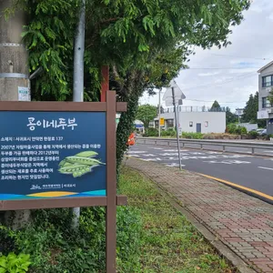 콩이네두부 리뷰 사진
