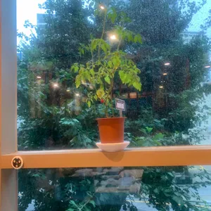 정동진해물탕 리뷰 사진