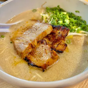 코이라멘 사진