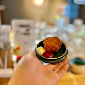 코이라멘 사진