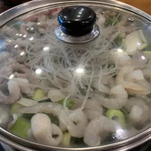 개미집 사진