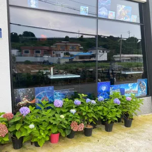 윤식당 리뷰 사진