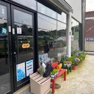 윤식당 리뷰 사진