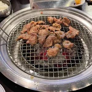 통통돼지 사진