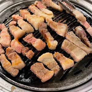 통통돼지 사진