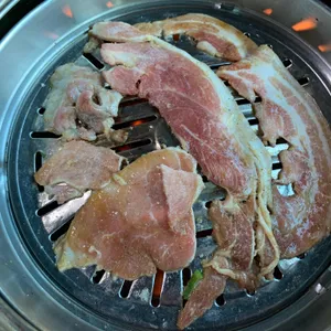 금남멧돼지 사진
