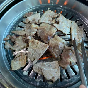 금남멧돼지 사진
