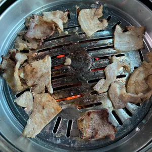 금남멧돼지 사진