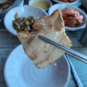 금남멧돼지 사진