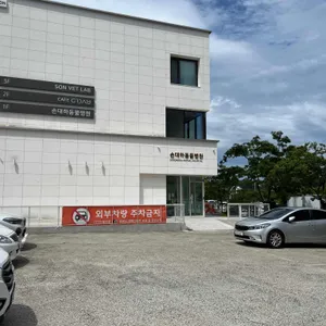 그데이 리뷰 사진