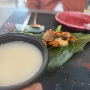 오찬회동 사진