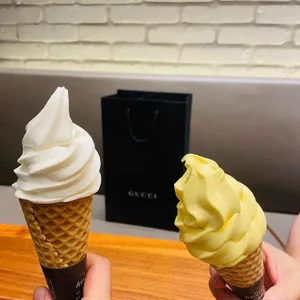 폴바셋 사진