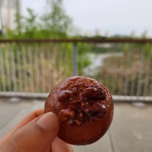 연리희재 사진