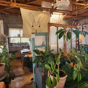 카페 한라산 리뷰 사진