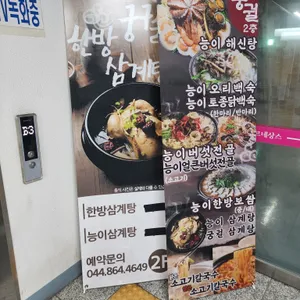 궁궐 리뷰 사진