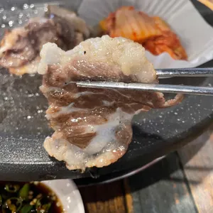 고본담 사진