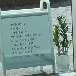 다시 봄 리뷰 사진