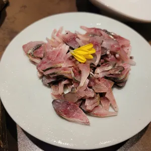 네기 실비 사진